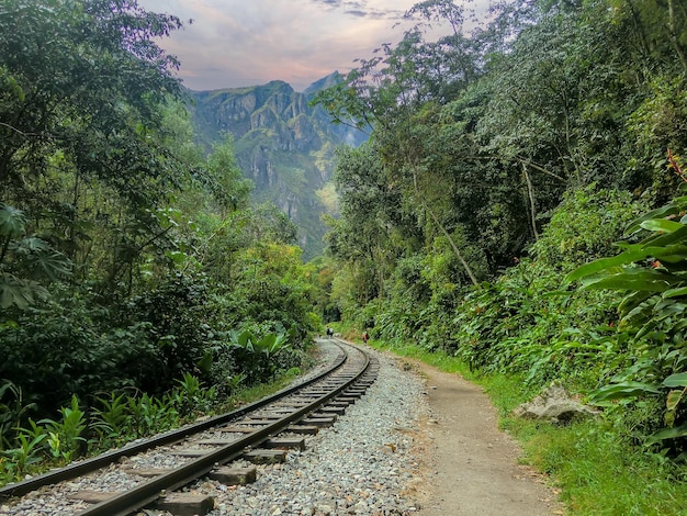 Train tracks in the middle of a jungle in the city of Cusco - Peru.