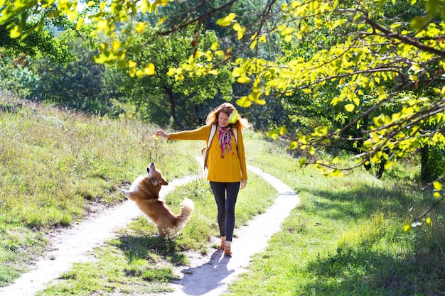 Training - girl and dog corgi walking in the park