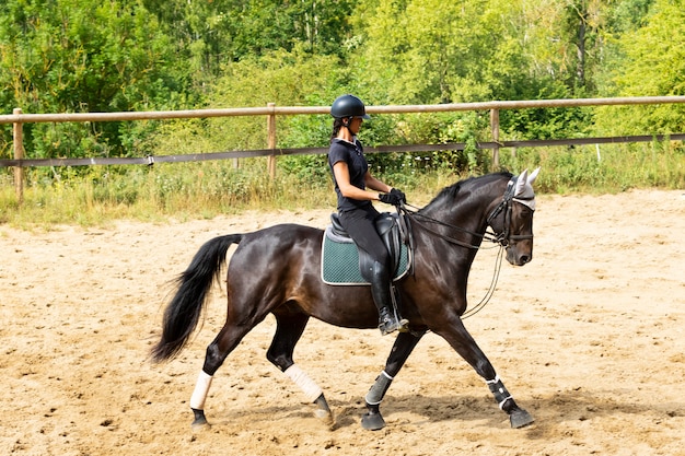 Training of a rider and her bay horse in dressage