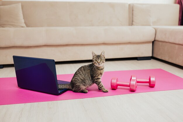 Photo training using yoga mat and dumbbells and laptop for online training