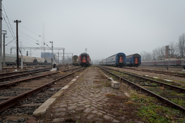 Trains waiting in a train station. A misty day