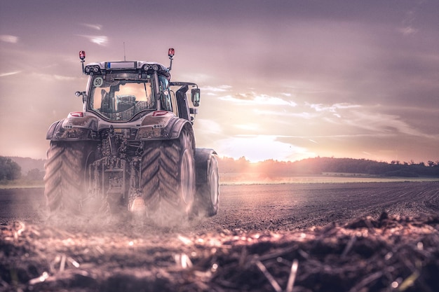 Traktor erntet im sonnenuntergang