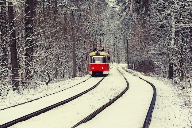 Tram in the forest