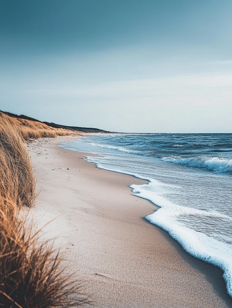 Photo tranquil beach landscape with gentle waves and coastal dunes