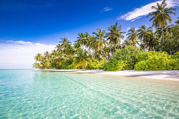 Tranquil beach sea sand sky palms. Sunny exotic tropical beach landscape for background or wallpaper