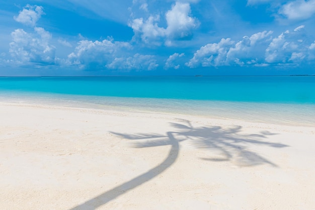 Tranquil beach view palm leaf shadow white sand near blue sea Exotic tropical landscape peaceful