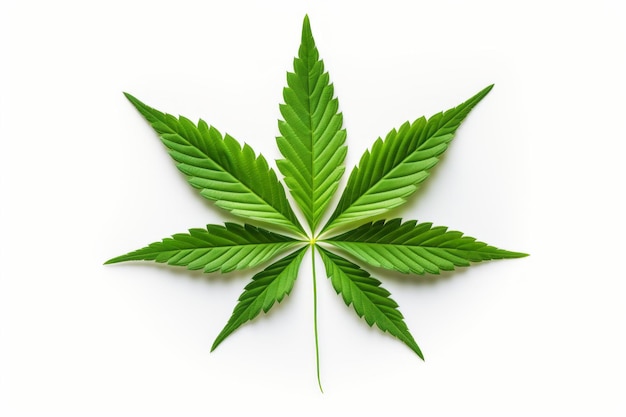 A tranquil cannabis leaf isolated on white Art by Generative AI