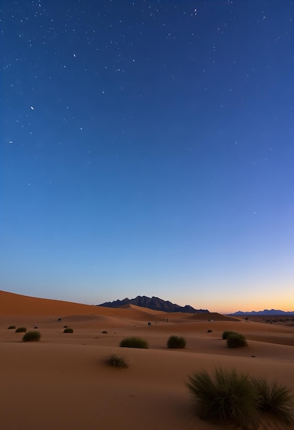 Tranquil desert evening with sky filled with stars and cool gentle breeze