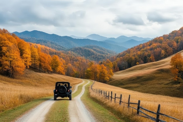 A tranquil journey through a vibrant autumn landscape showcasing colorful trees and winding dirt pat