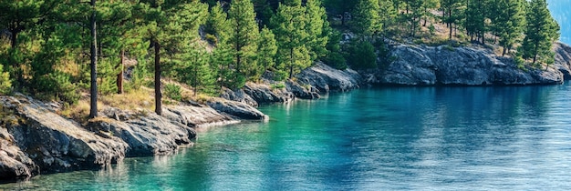 Photo tranquil lake shore with lush green trees this serene image captures the beauty of a tranquil