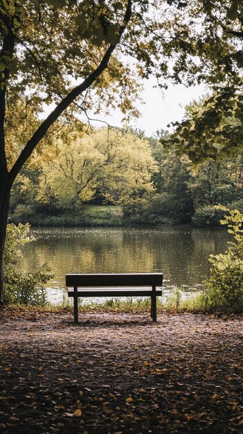 Photo tranquil lakeside bench surrounded by autumn foliage