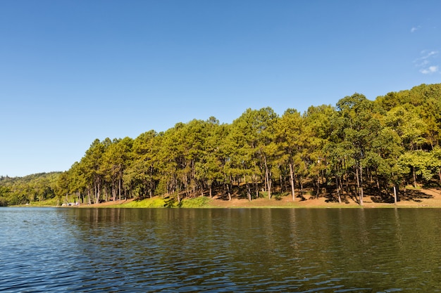 Tranquil landscape at a lake, with the vibrant sky 