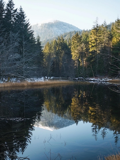 Tranquil Mountain Reflection in Serene Lake Surrounded by Evergreen Forest