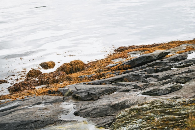 Tranquil seascape with rocky shore and distant mountains