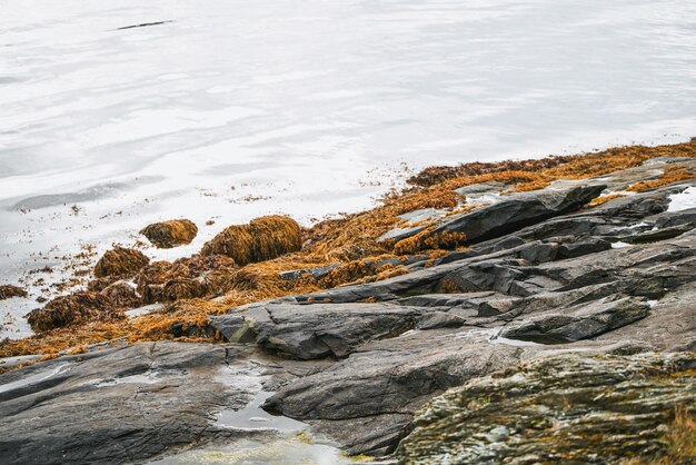 Photo tranquil seascape with rocky shore and distant mountains