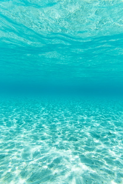 Tranquil underwater scene with copy space