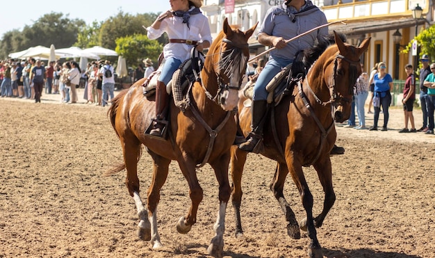 Transfer of mares is a livestock event in El Rocio Huelva Spain In Spanish called Saca de Yeguas