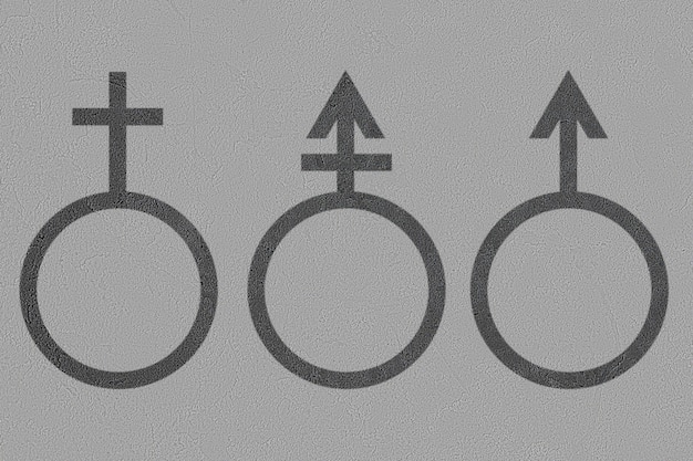 A transgender sex gender symbol concept of equality and love