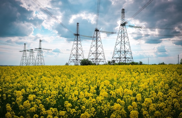 Transmission towers in the middle of a yellow canola field in bloom. High voltage power line at Spring
