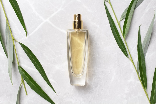 Transparent bottle of perfume on a marble background Fragrance presentation with branch leaves