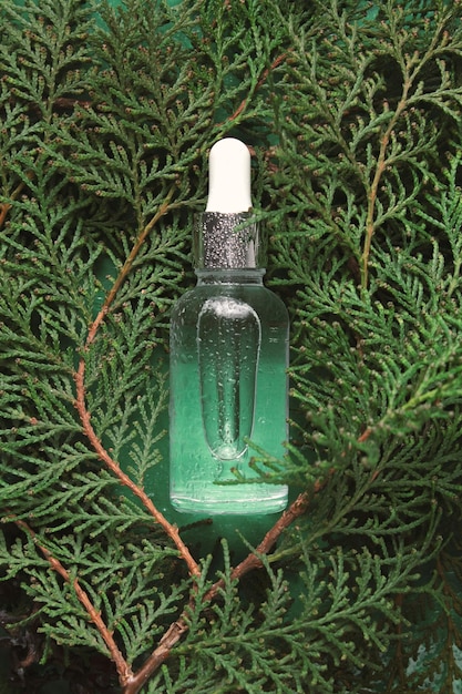 Transparent bottle with beauty serum hyaluronic acid on green background with thuja branches Skin care hydration and nutrition with collagen