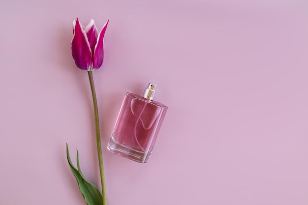 A transparent bottle of women's perfume on a purple background with a tulip flower top view a copy space the concept of advertising the fragrance