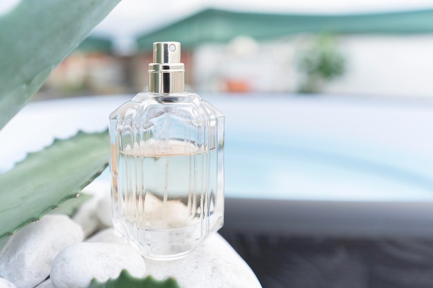 A transparent bottle womens or mens perfume with white stones and a tropical plant. Summer concept