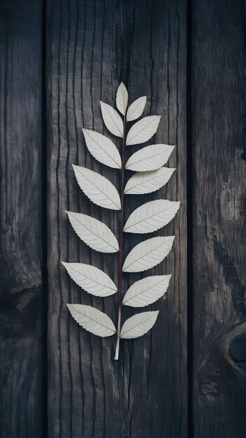 Transparent and delicate leaves over old wooden background