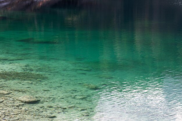 Transparent emerald shallow water near the shore on Tovel lake, Ville d'Anaunia, Trentino, Italy