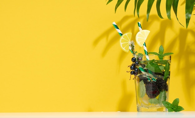 Transparent glass with lemonade mint leaves lemon slices and blackberries