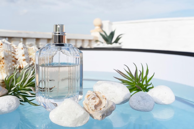 Transparent spray bottle of womens or mens perfume with shells on the glass surface of the new swimm