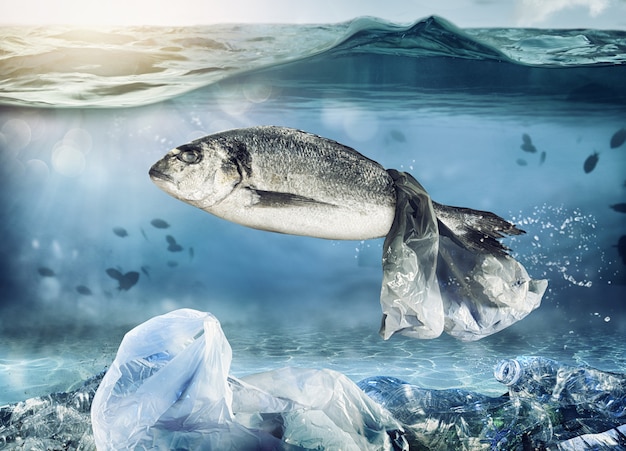 Trapped fish by a floating bag. Problem of plastic pollution under the sea concept