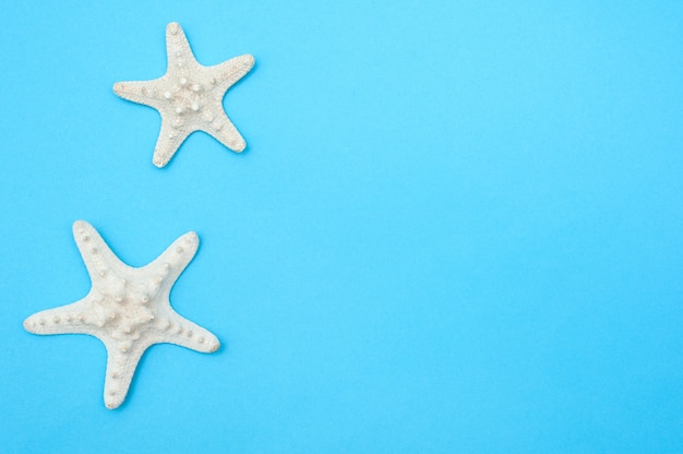 Travel background. Starfishes on a blue background