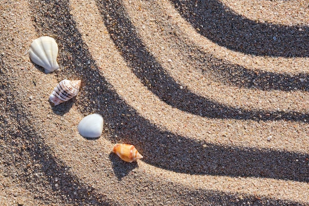 Travel and vacation season summer holiday background Top view of sea shells on beach sand