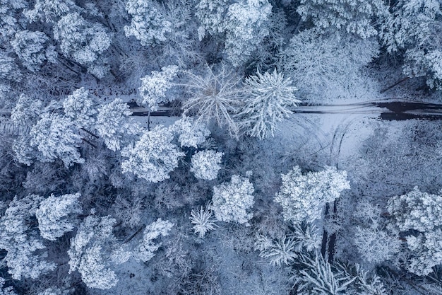 Travel in winter Snowy forest road at winter