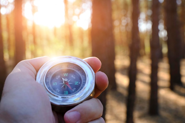 Travel with compass in hand in pine sunny forest