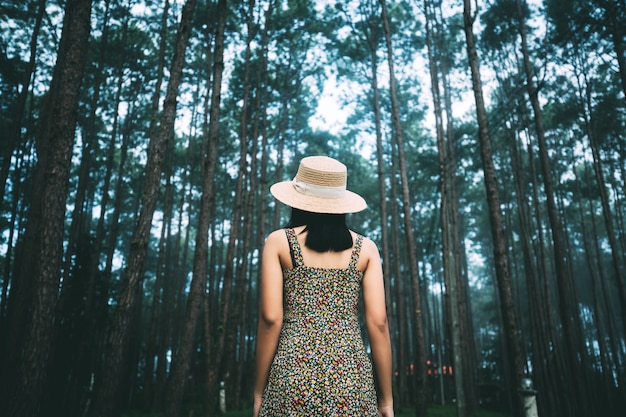 Traveler asian woman sightseeing in pine tree garden at Doi Bo Luang Forest Park Chiang Mai, Thailand