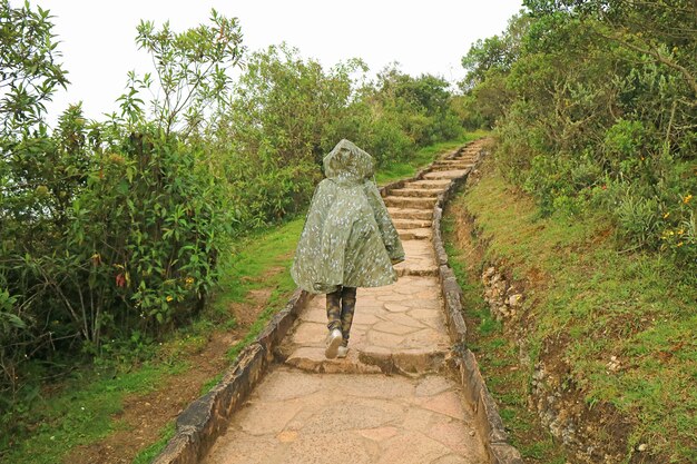 Traveler Walking on Stone Path in Rain Heading to Kuelap Archaeological site, Northern Peru