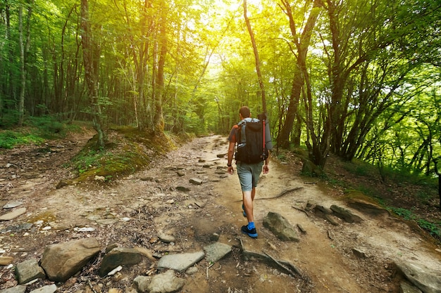 A traveler with a backpack in the spring forest on the path looks ahead. Sunlight through the crowns of trees.