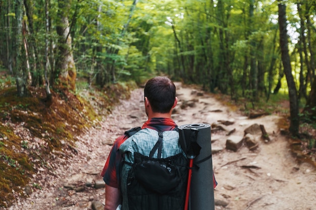 A traveler with a backpack in the spring forest on the path looks ahead. Sunlight through the crowns of trees.