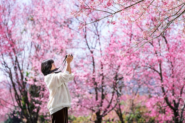 Traveler woman taking photos of Wild Himalayan Cherry