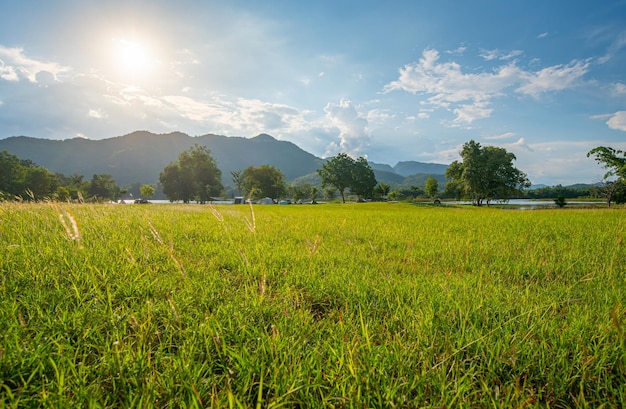 Traveling and camping concept Camping tent in forest near lake with grassland and blue sky