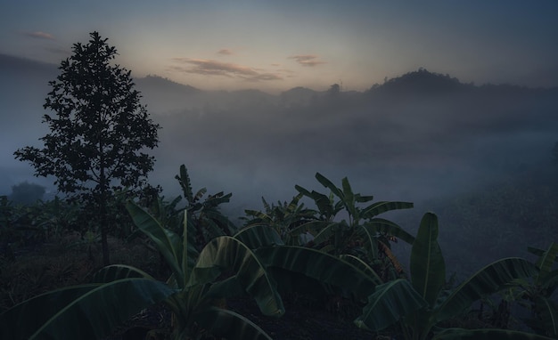 Traveling and camping concept village in the mountain hill with sea of fog in the morning Thailand