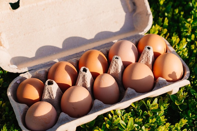 A tray of chicken eggs on the grass natural farm products