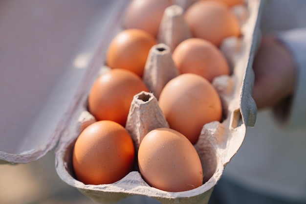 A tray of chicken eggs natural farm products