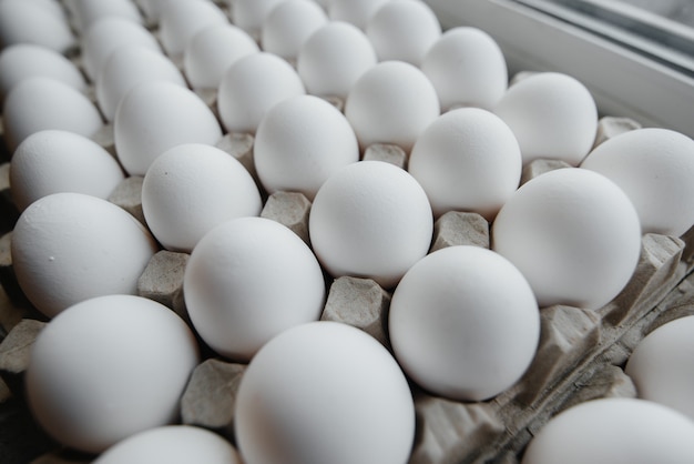 Tray of white fresh eggs close-up on a cardboard form. Agricultural industry