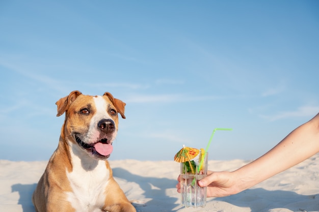 Treating to a glass of cold cocktail drink on the beach.