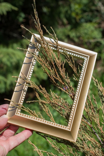 Photo tree bloom blossom beautiful flowers in a frame