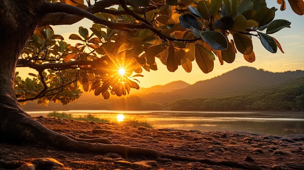 a tree branch with leaves and a sunset behind it