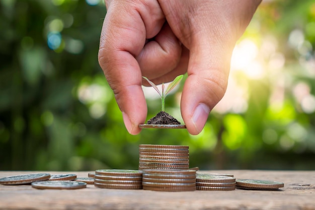 Tree on the coin in a human hand and blurry green nature background